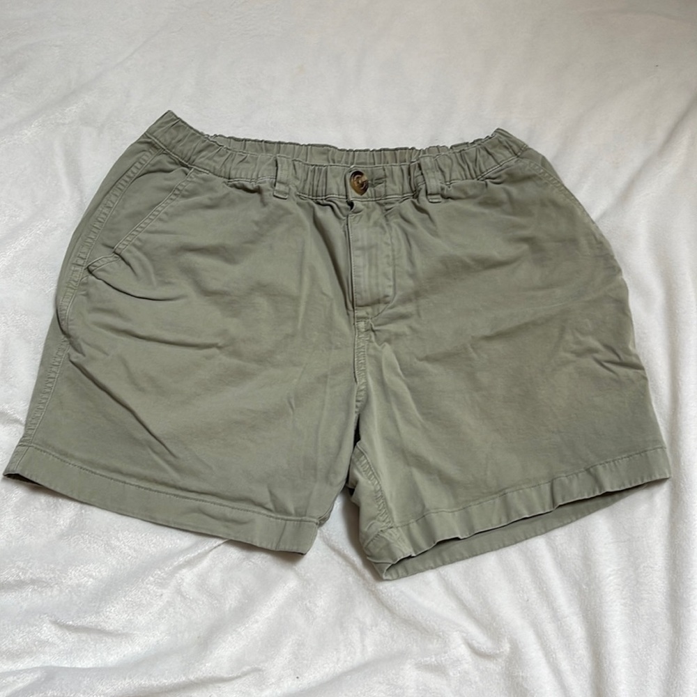 5.5 inseam chubbies shorts